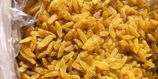 تصویر 5 از خرید و فروش کشمش ممتاز کاشمر با شرایط فوق العاده
